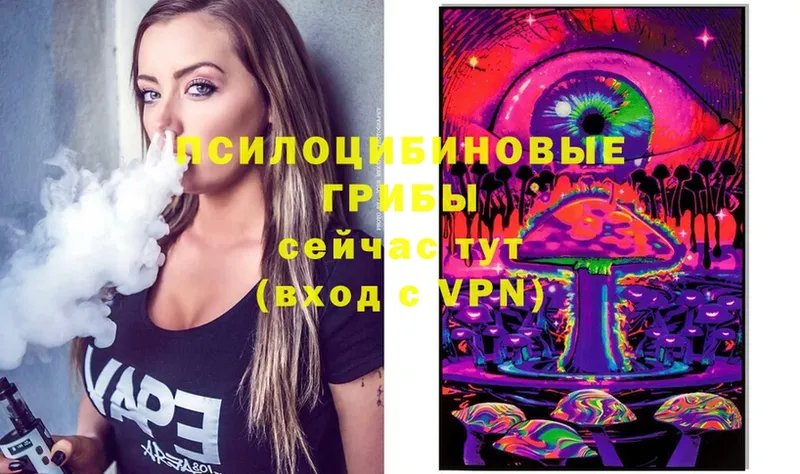 мега зеркало  купить  сайты  Талдом  Галлюциногенные грибы Cubensis 